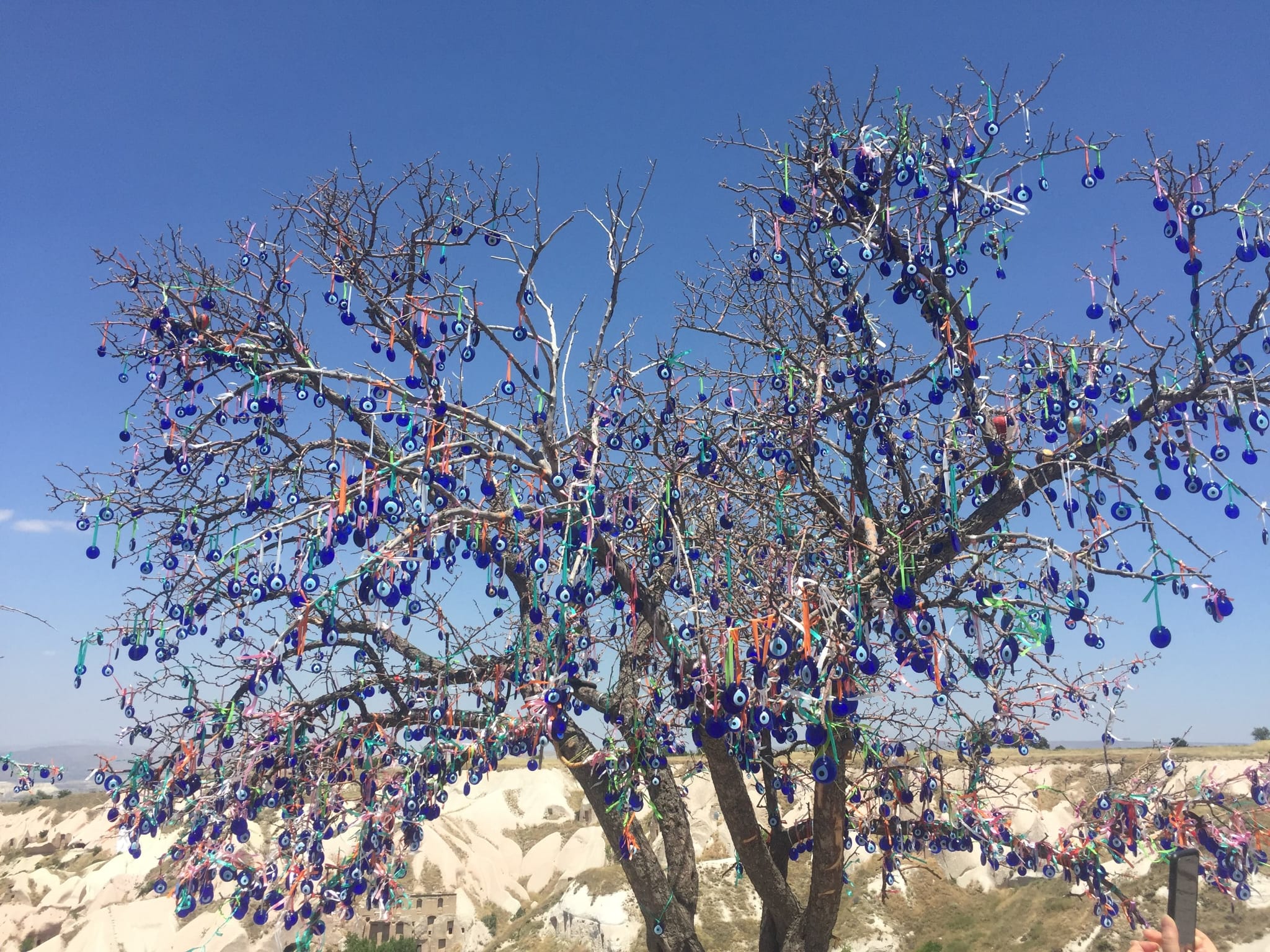 Nazar Boncuğu Ağacı